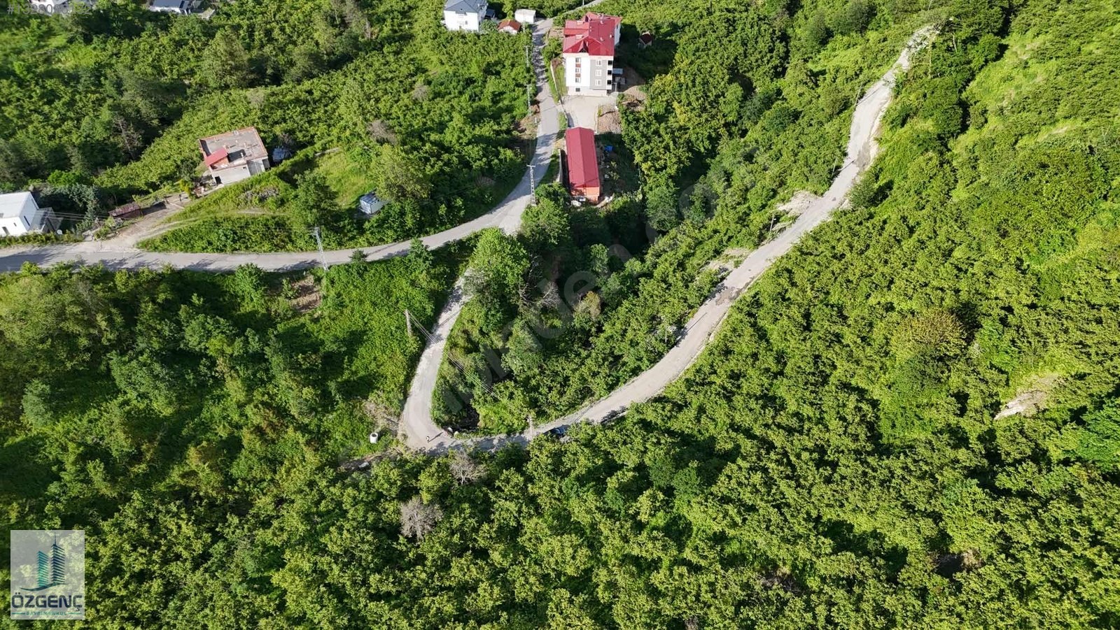 ÖzGeNç’ten Araklı Yiğitözü’nde Satılık 2300 m² Fındıklık Arazi