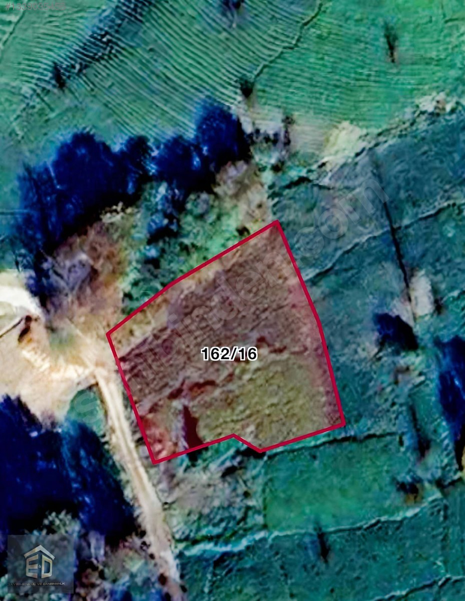 E&D GYO’DAN ARAKLI’DA MERKEZE 15KM FIRSAT ÇAYLIK!