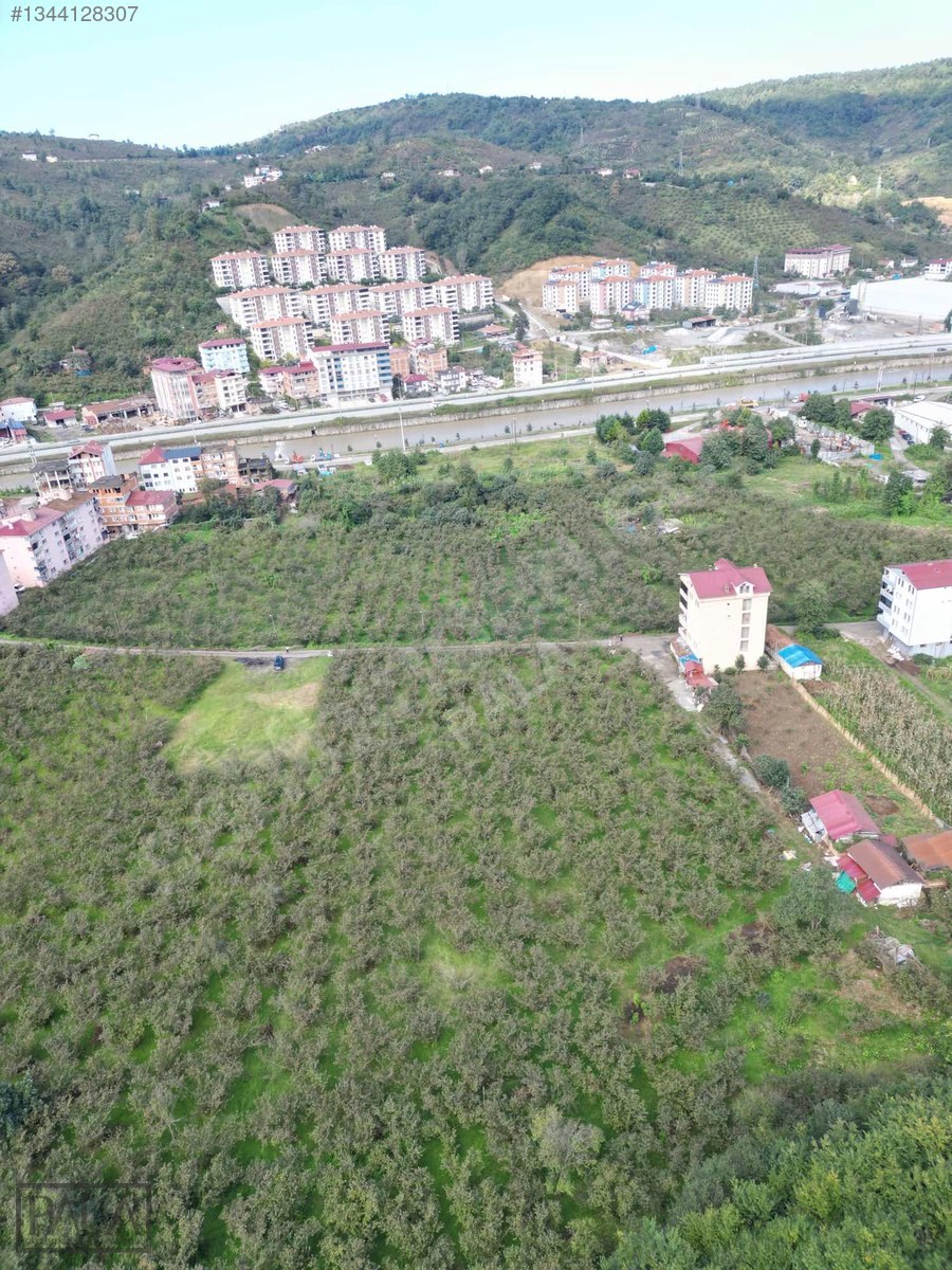 ARAKLI YOLGÖRENDE DÜZ VE YATIRIMLIK FINDIK BAHÇESİ